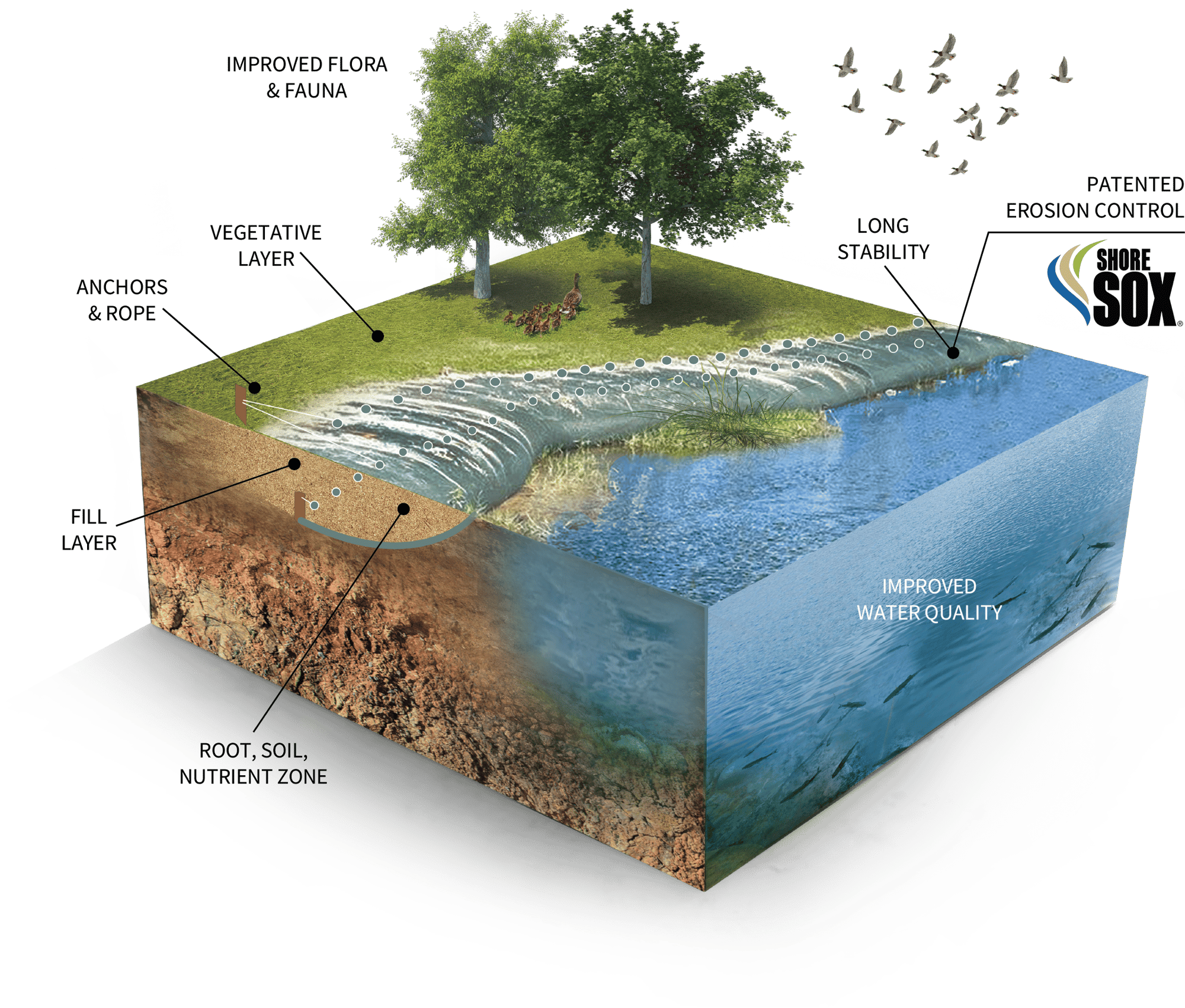 SOX - 3D Digital Model - With Text