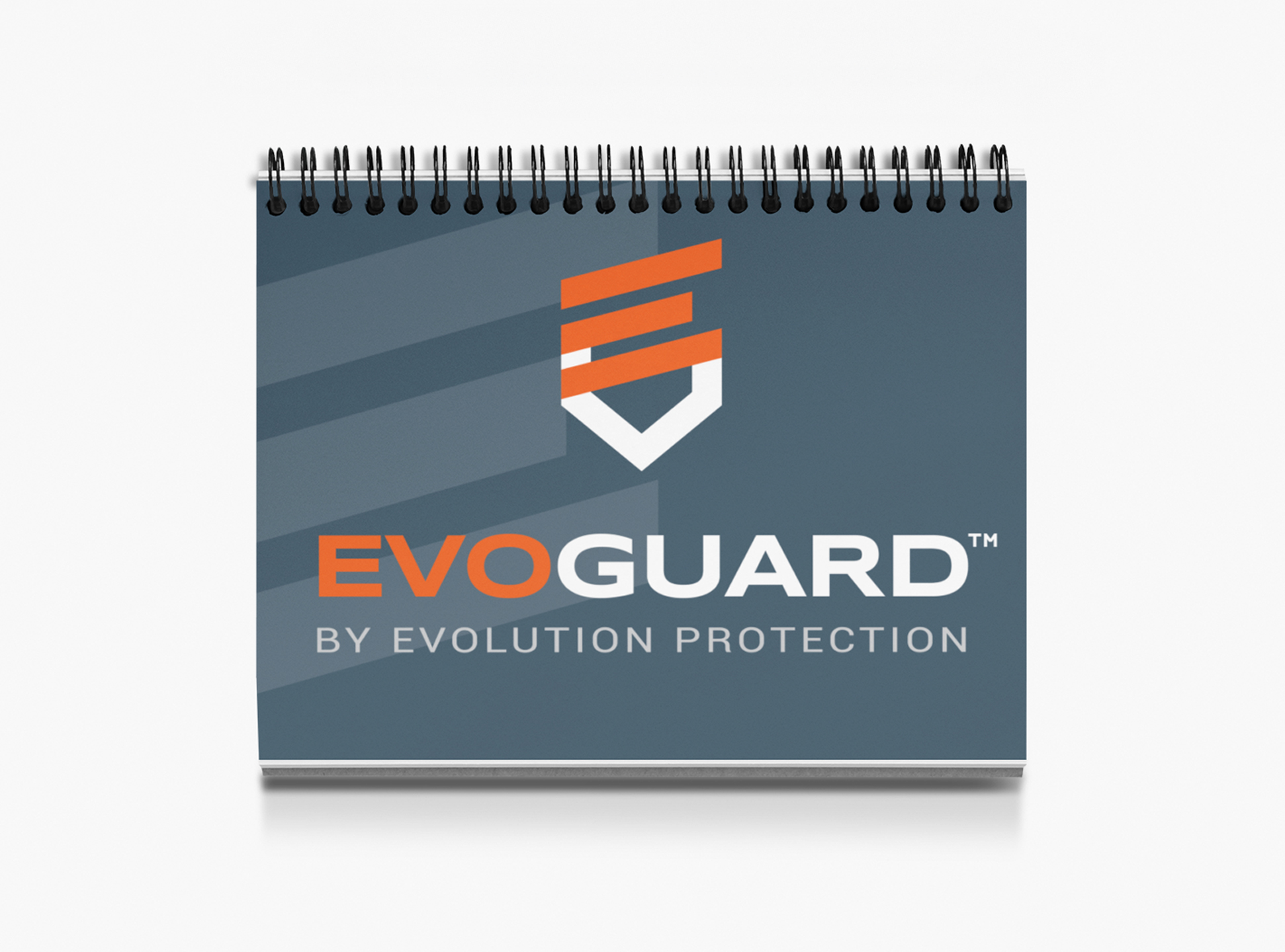 sox_pitch-deck_evoguard
